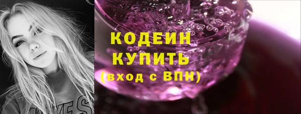 шишки Абаза