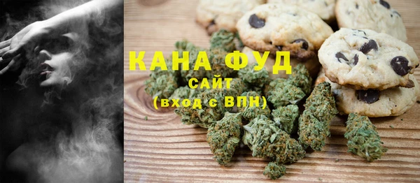 шишки Абаза