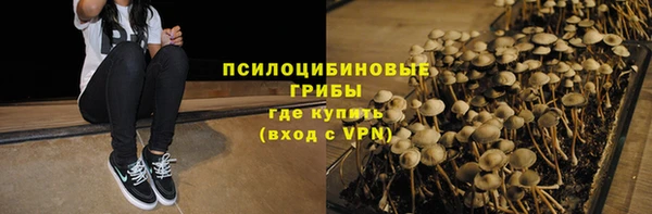 шишки Абаза