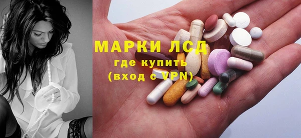 шишки Абаза